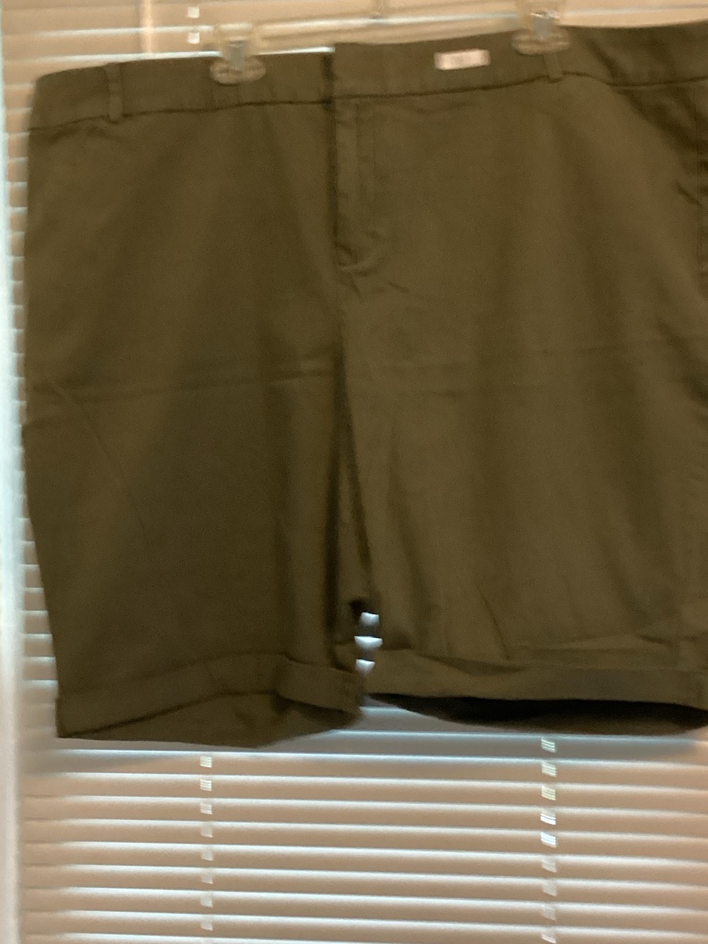 Lane Bryant Olive Women’s Flat Front Shorts